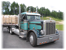 KMT Freight Trucks